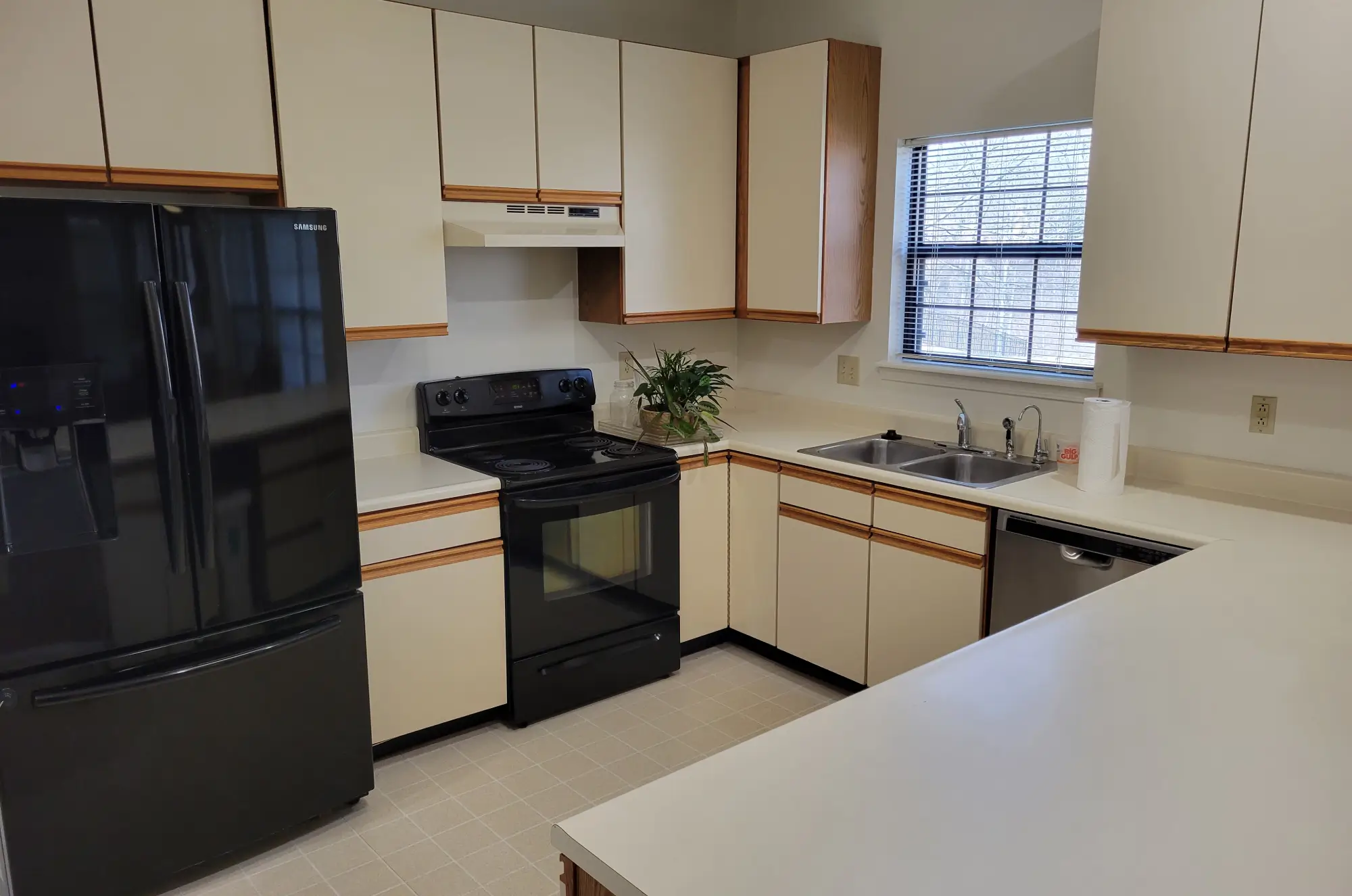 Bright kitchen with black appliances and white cabinetry under natural light.